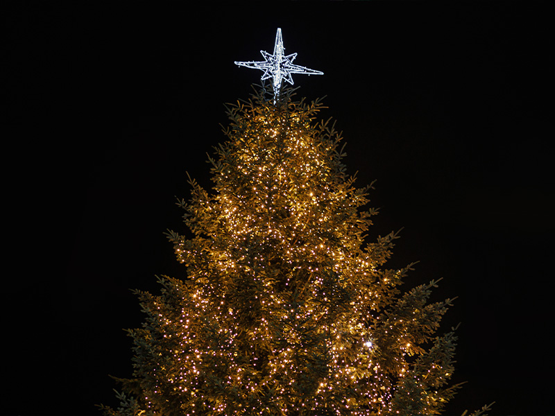 The Official City of Galveston Tree Lighting Nov. 29 Holiday at Hendley Green – Galveston, TX | November 29 | The 1839