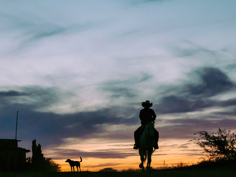 Once Upon A Time The Spaghetti Western Lecture by Jordan Tucker Jan 15.jpeg Once Upon A Time The Spaghetti Western Lecture The 1839